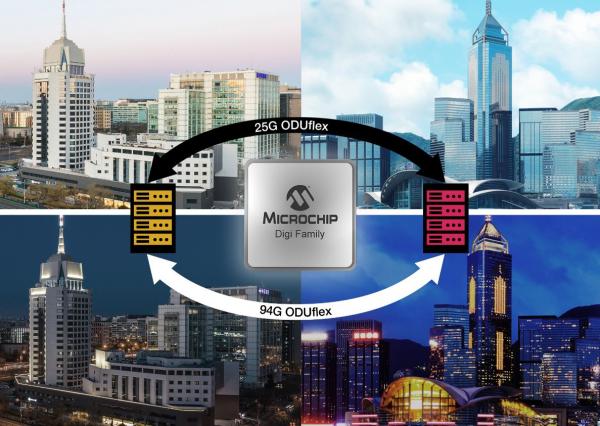 Microchip资源专区 数码网络交换技术深度解析